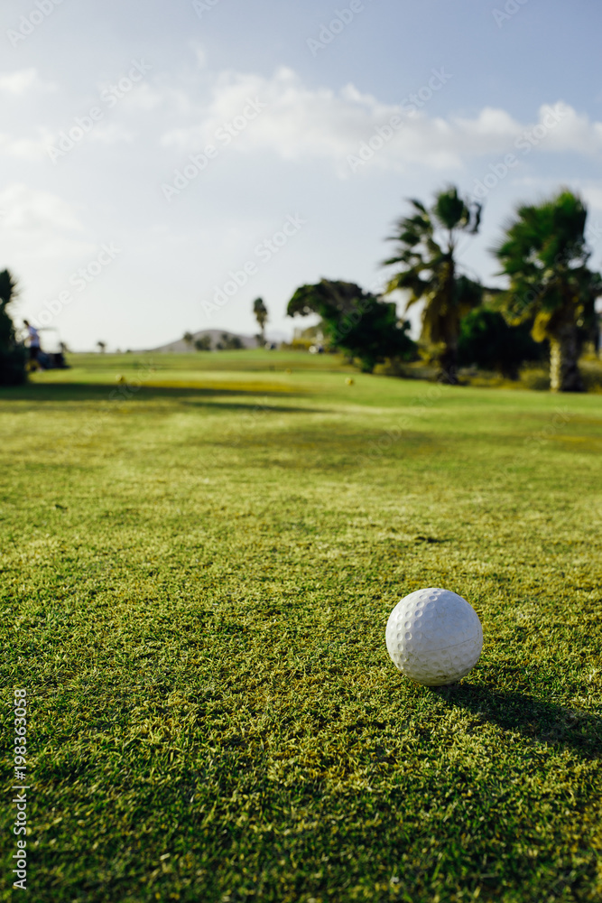 golf ball on green grass, palm trees background golf ball on green grass, palm trees background