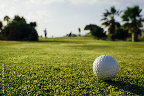 golf ball on green grass, closeup view