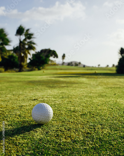 golf ball on green grass, palm trees background