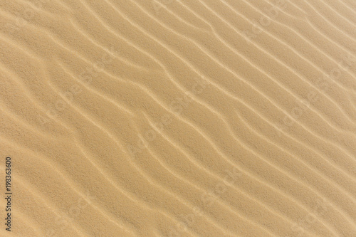 Sand on the beach as background  Texture  Pattern