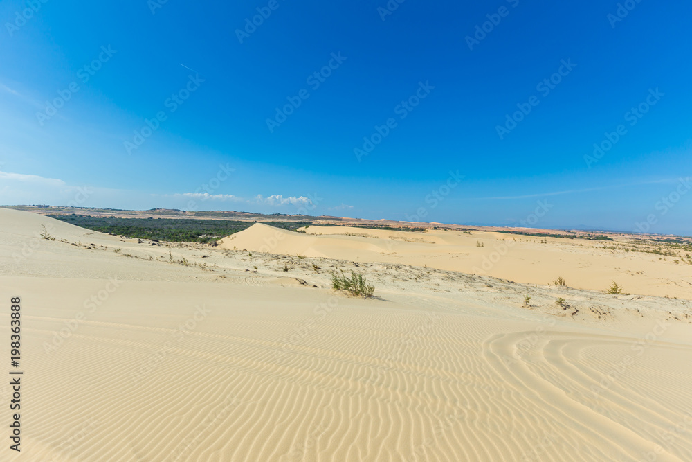 White sand dune in Mui Ne, Vietnam, Popular tourist attraction, Travel