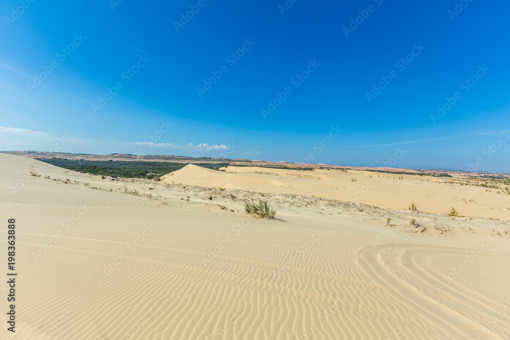 White sand dune in Mui Ne, Vietnam, Popular tourist attraction, Travel White sand dune in Mui Ne, Vietnam, Popular tourist attraction, Travel