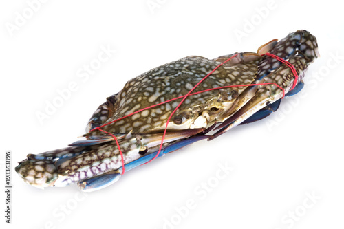 Wallpaper Mural Krabbe zum Kochen Torontodigital.ca