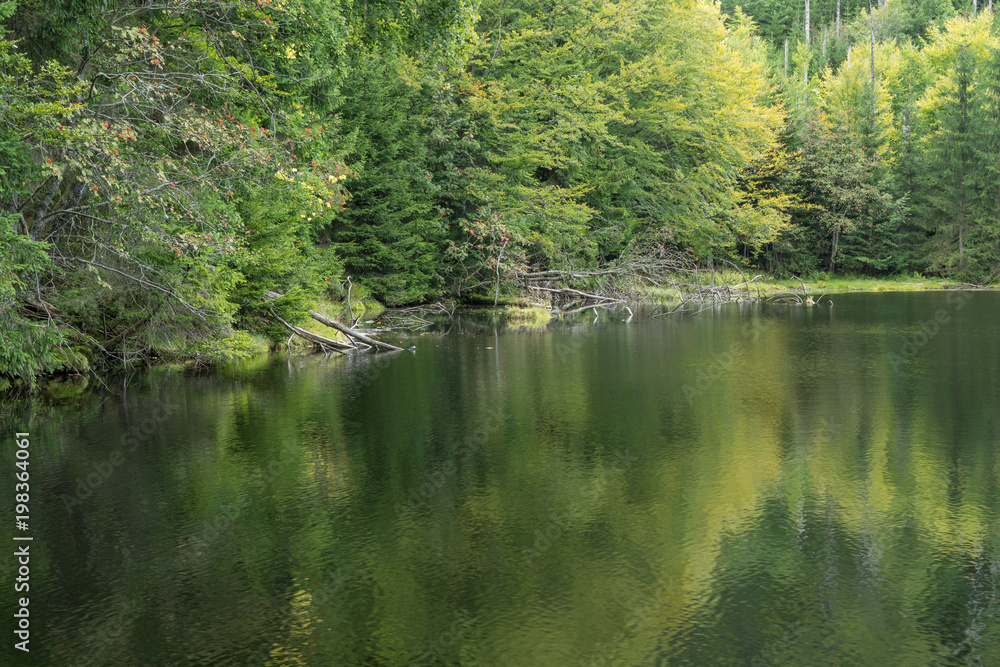 Stausee Martinsklause im Bayerischen Wald Stausee Martinsklause im Bayerischen Wald