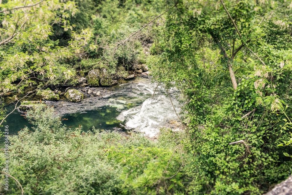 Quick stream of the Tarn river through green trees Quick stream of the Tarn river through green trees