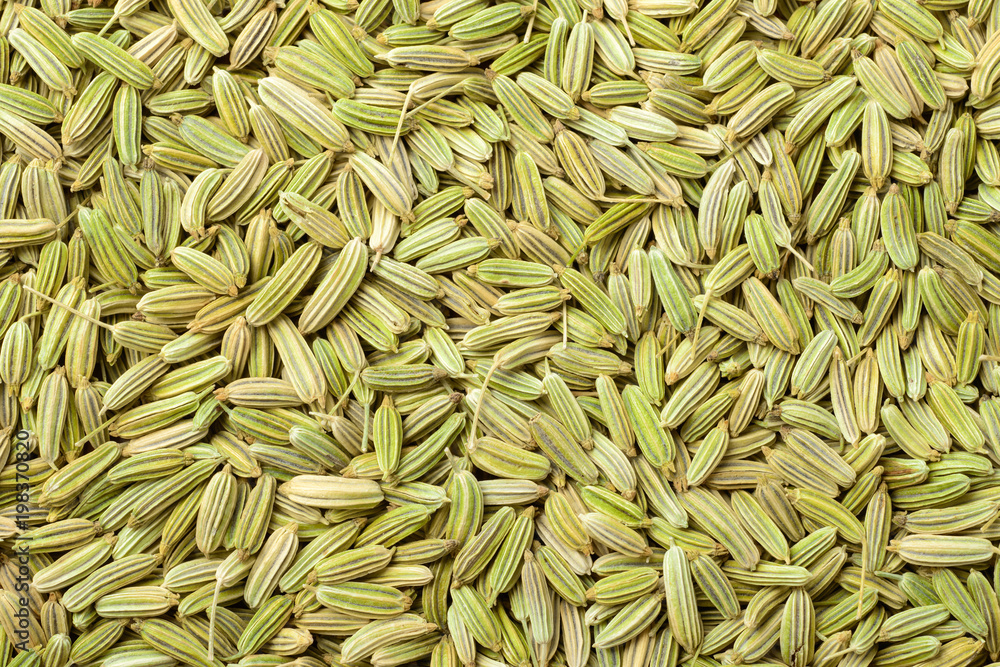 Obraz premium food background of dried fennel seeds, top view
