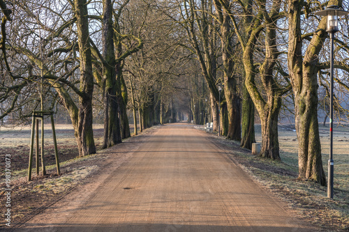 Kastanien-Allee im Grünfelder Park Waldenburg