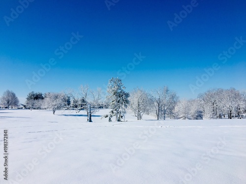 Winter landscape © volgariver