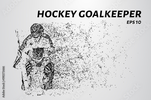 Hockey from the particles. The goalkeeper consists of circles and points. Vector illustration.