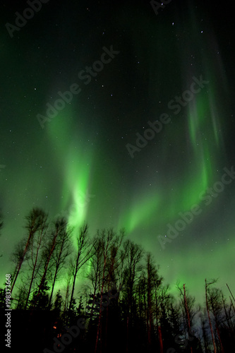 March Aurora