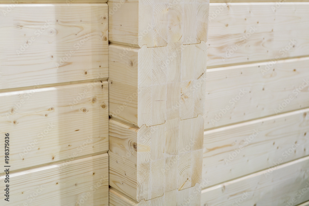 The corner of the wooden house. New house. white tree. The corner of the wooden house. New house. white tree.
