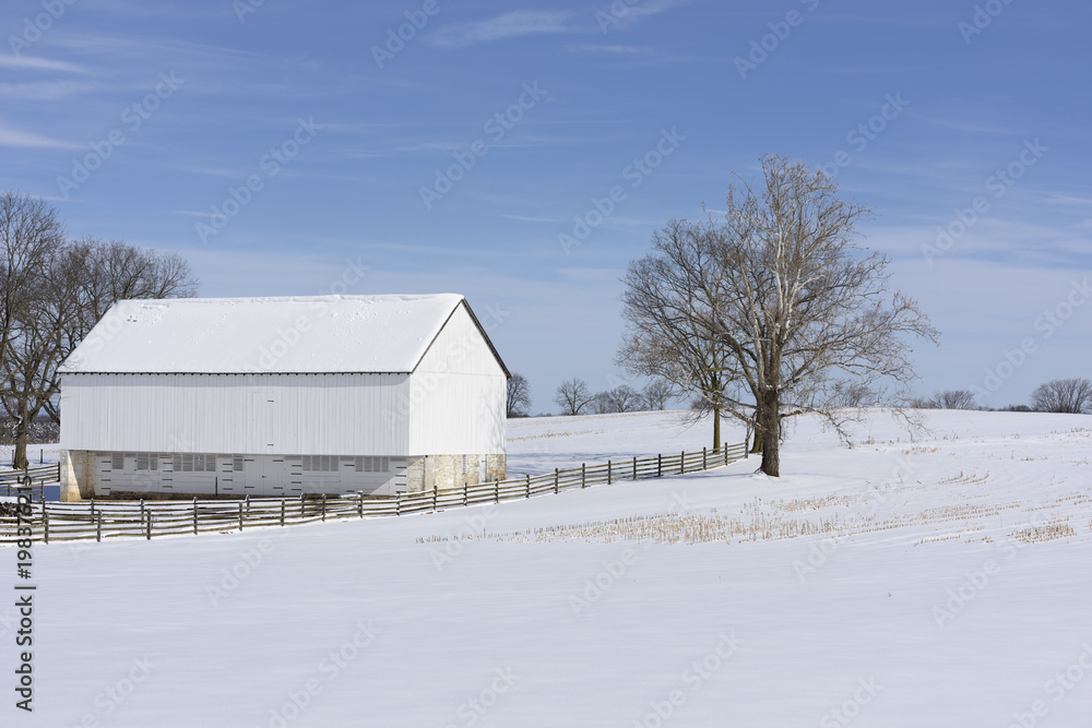 White Barn and Tree in Snow Covered Field in Winter White Barn and Tree in Snow Covered Field in Winter