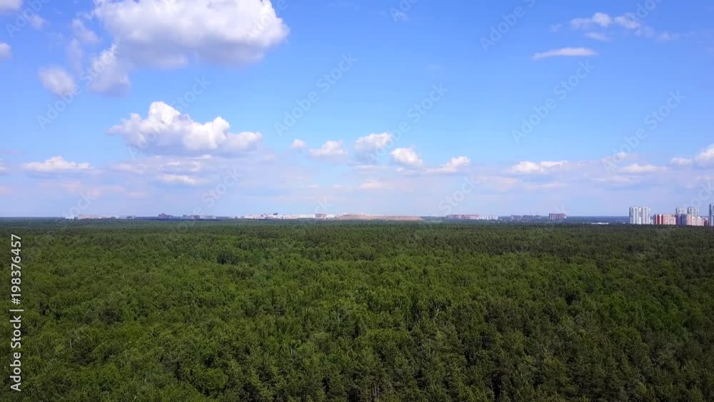 Aerial drone shot over the middle band forest with the city at background. Aerial drone shot over the middle band forest with the city at background.