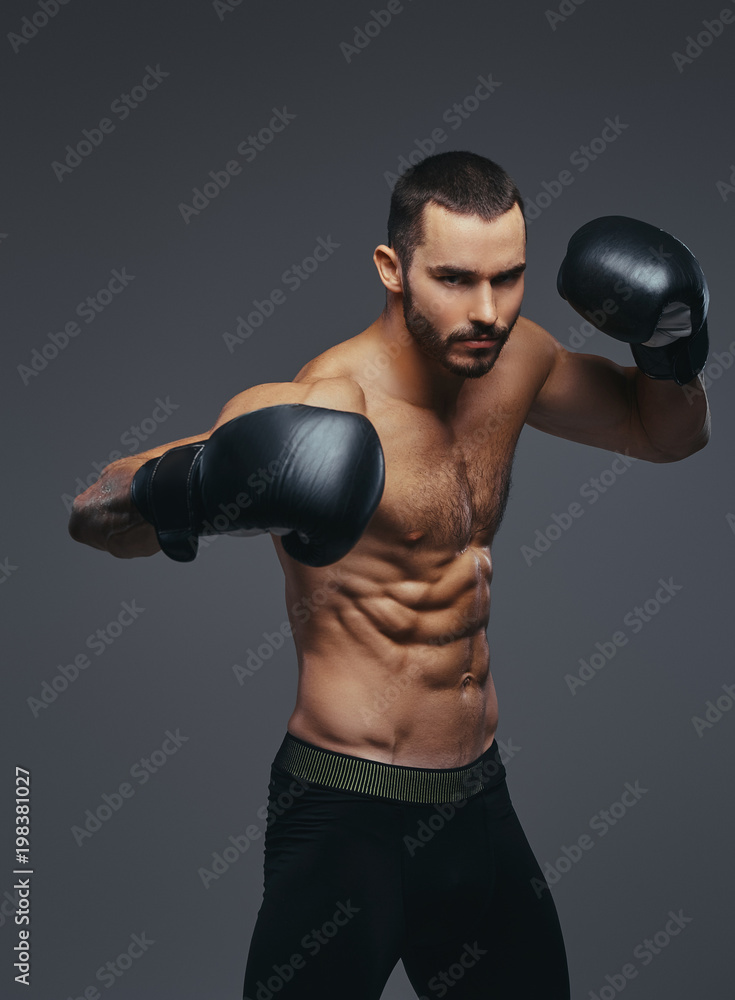 Studio portrait of a shirtless brutal athletic boxer wearing black boxing gloves on gray background.