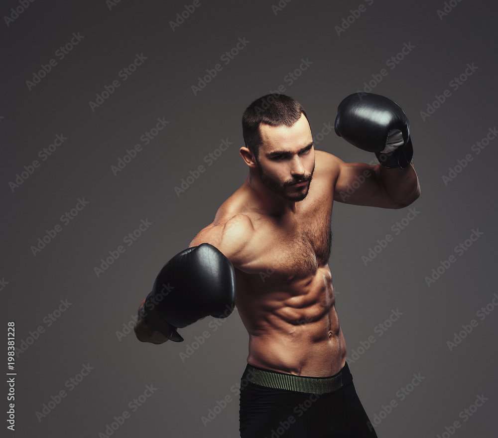 Studio portrait of a shirtless brutal athletic boxer wearing black boxing gloves on gray background. Studio portrait of a shirtless brutal athletic boxer wearing black boxing gloves on gray background.