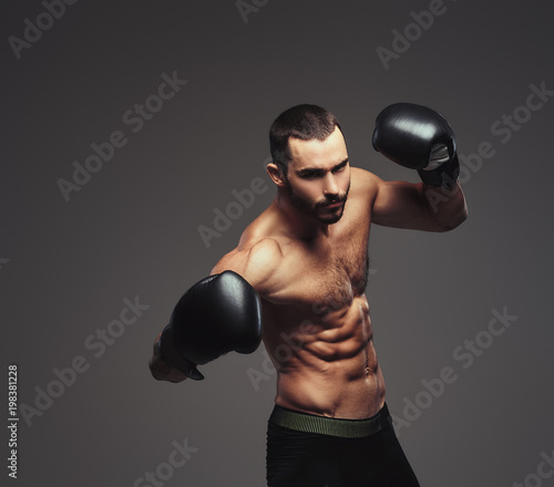 Studio portrait of a shirtless brutal athletic boxer wearing black boxing gloves on gray background. © Fxquadro