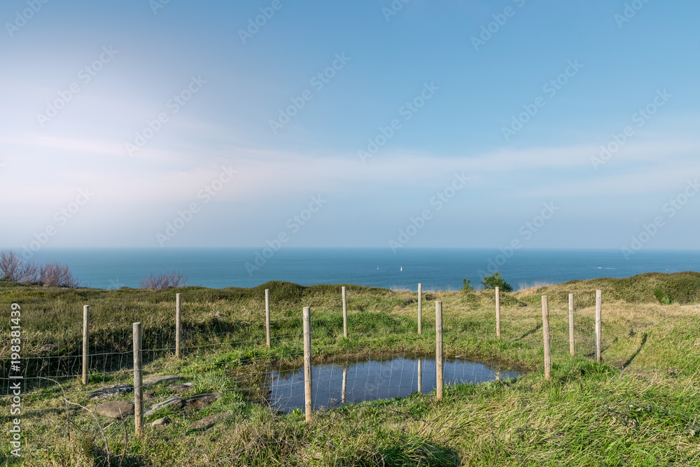 pond fenced with the sea in the background on the horizon.