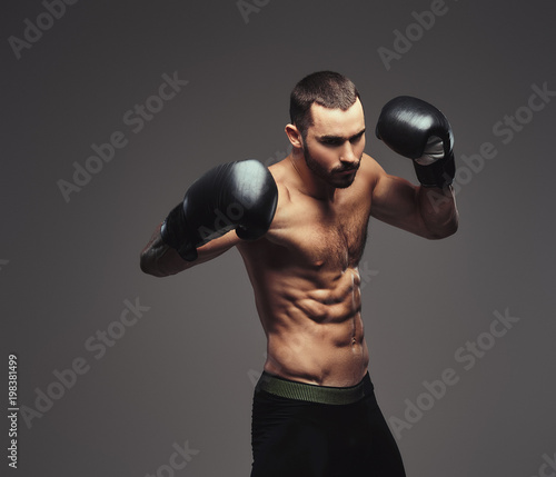 Studio portrait of a shirtless brutal athletic boxer wearing black boxing gloves on gray background.