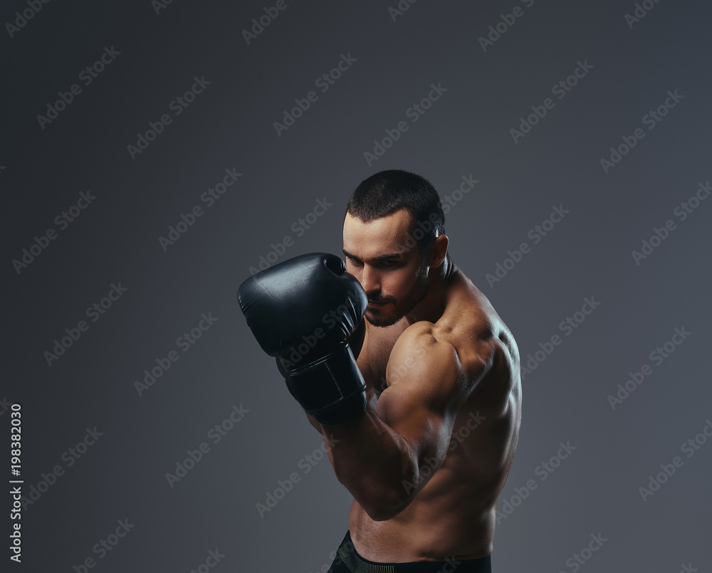 A brutal shirtless caucasian sportsman in boxing gloves training isolated on a gray background. A brutal shirtless caucasian sportsman in boxing gloves training isolated on a gray background.