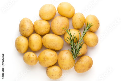 New potato and rosemarin isolated on white background close up.