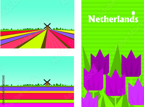 Netherland rural colorful landscape with flower (tulips and hyacinths) fields. Poster, card templates in flat style.