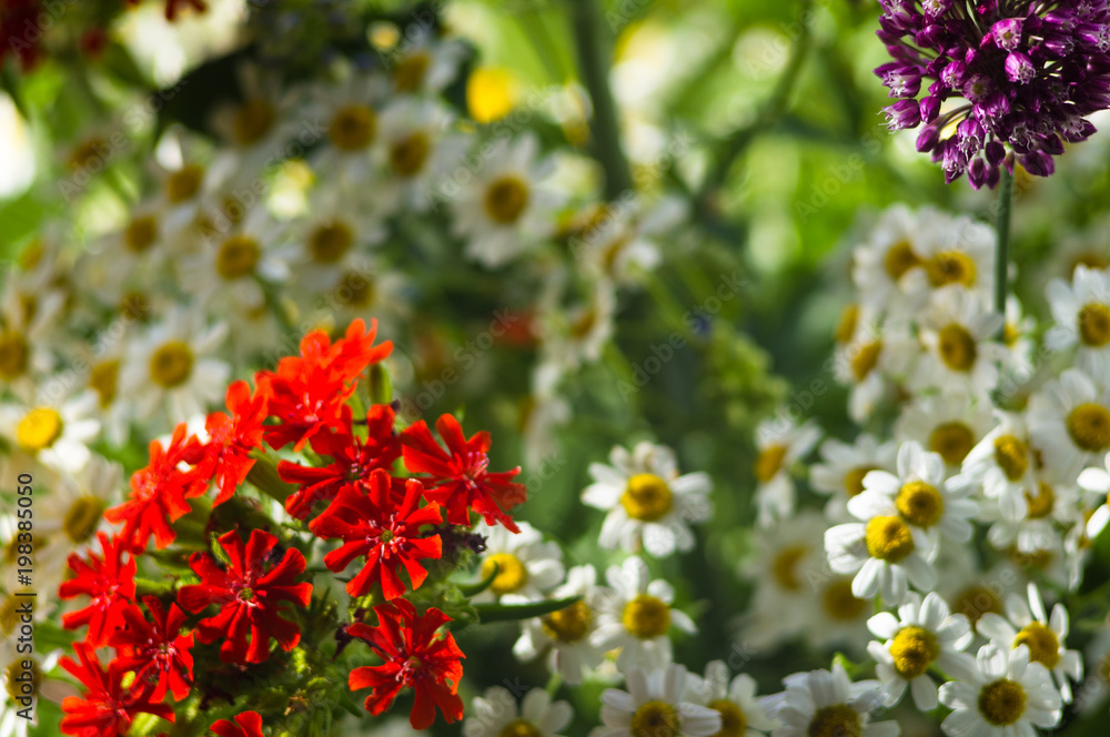 a bouquet of bright spring flowers of various types a bouquet of bright spring flowers of various types