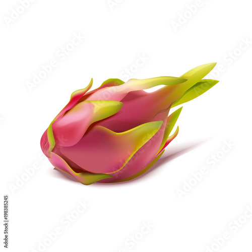 Delicious pitahaya isolated on white background. Vector realistic illustration