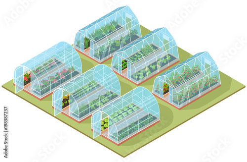Set of isometric glass greenhouse with growing vegetables and colorful flowers. Vector illustration photo