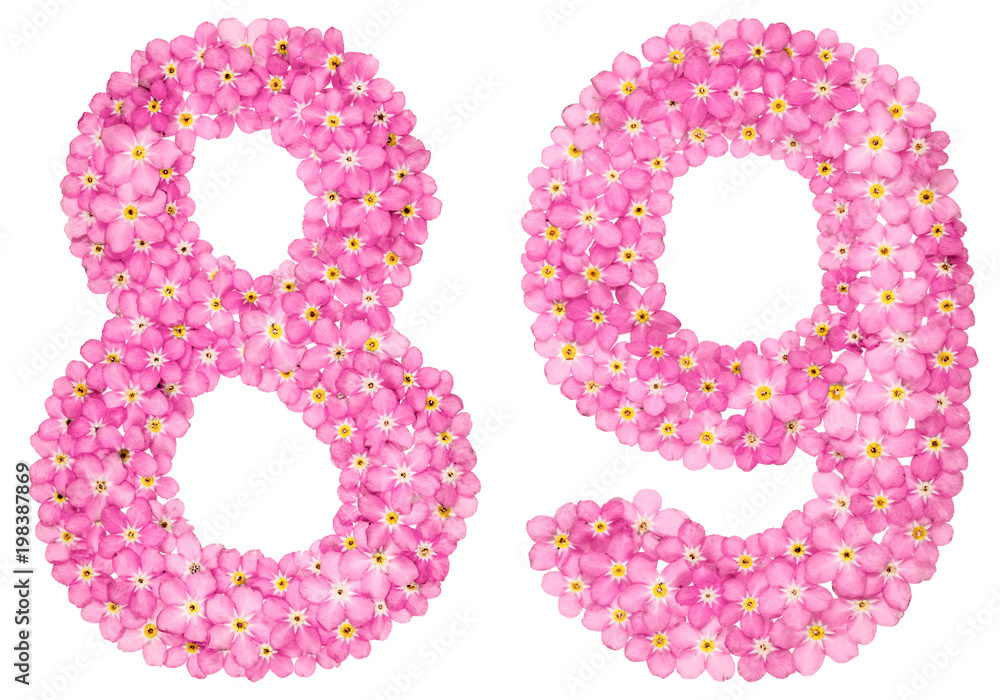Arabic numeral 89, eighty nine, from pink forget-me-not flowers, isolated on white background Arabic numeral 89, eighty nine, from pink forget-me-not flowers, isolated on white background