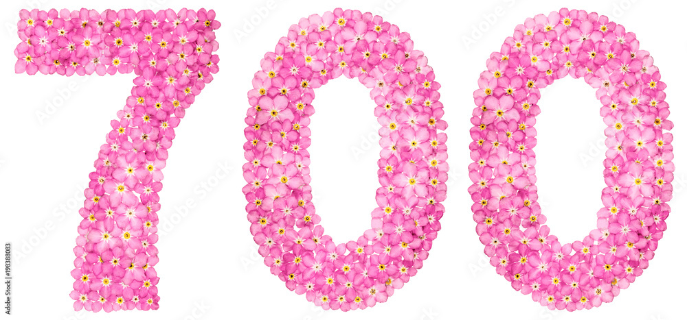 Arabic numeral 700, seven hundred, from pink forget-me-not flowers, isolated on white background Arabic numeral 700, seven hundred, from pink forget-me-not flowers, isolated on white background