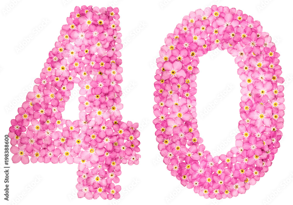 Arabic numeral 40, forty, from pink forget-me-not flowers, isolated on white background Arabic numeral 40, forty, from pink forget-me-not flowers, isolated on white background