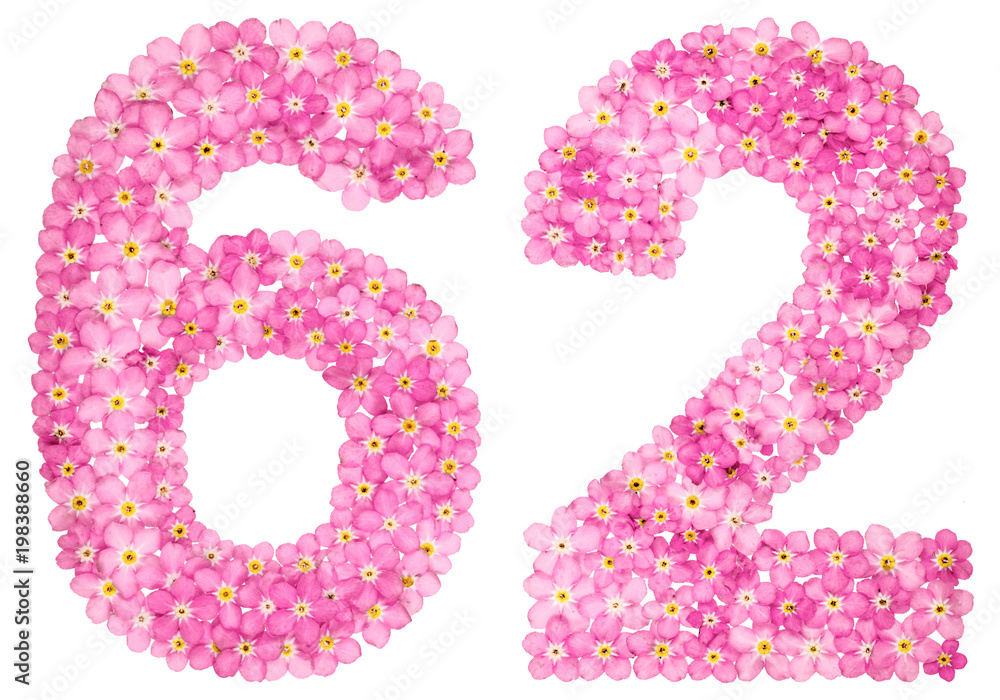 Arabic numeral 62, sixty two, from pink forget-me-not flowers, isolated on white background Arabic numeral 62, sixty two, from pink forget-me-not flowers, isolated on white background