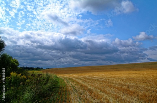 Sloping field in autumn in Russia