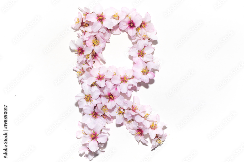 Letter of the English alphabet from flowers