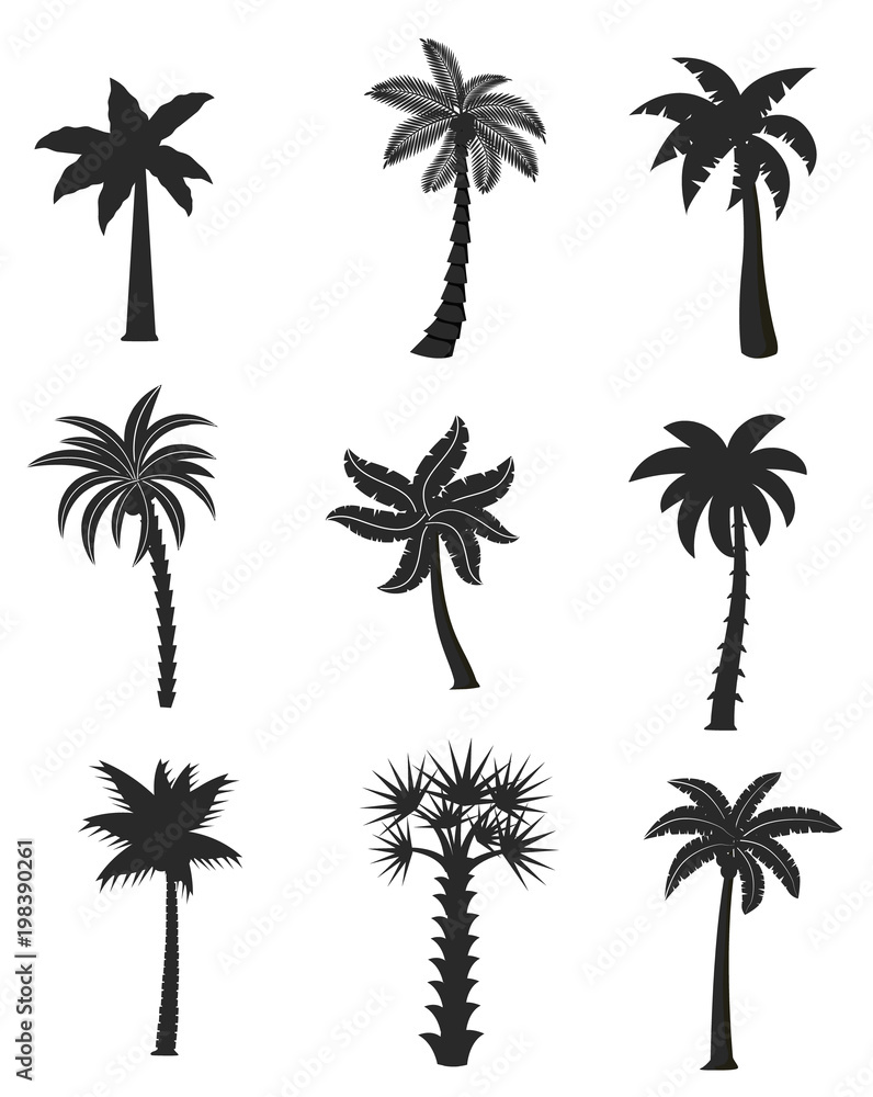 Set of black palm icons isolated on white background. Vector illustration with different shapes palm Set of black palm icons isolated on white background. Vector illustration with different shapes palm
