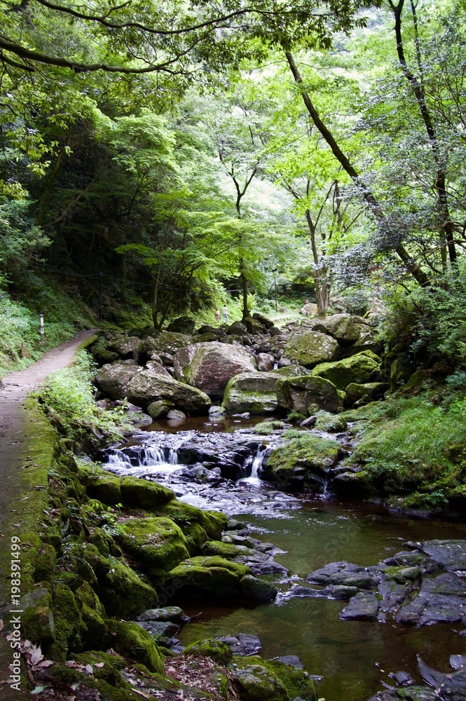Akame 48 Waterfalls: Mysterious scenery with giant trees & huge moss covered rock formations, untouched nature, lush green vegetation, cascading waterfalls & natural pools in rural Japan near Osaka Akame 48 Waterfalls: Mysterious scenery with giant trees & huge moss covered rock formations, untouched nature, lush green vegetation, cascading waterfalls & natural pools in rural Japan near Osaka