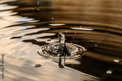 Circles on the water closeup with falling round drops, reflection warm colors photo