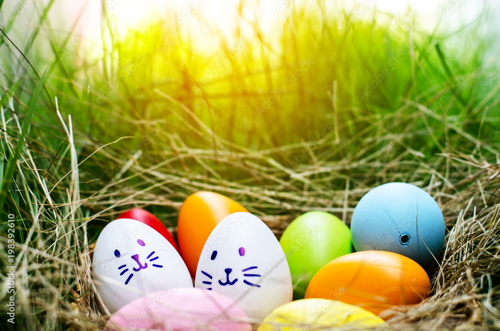 Easter eggs cute bunny. Funny happy in easter day on wood background