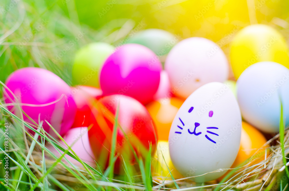 Easter eggs cute bunny. Funny happy in easter day on wood background Easter eggs cute bunny. Funny happy in easter day on wood background