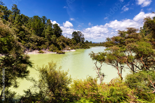 Green lake view in Wai-o-Tapu thermal wonderland park, Rotorua, New Zealand