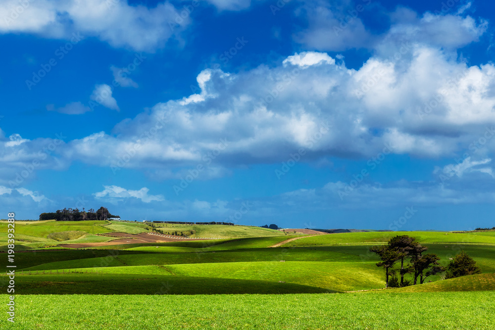 Fototapeta premium Perfect green hills in Otago region, New Zealand
