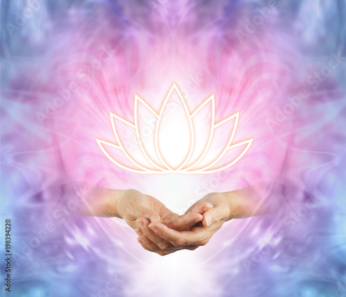 The Sacred Lotus - female cupped hands with an illuminated lotus flower symbol floating above on a pink purple blue and white energy background 
