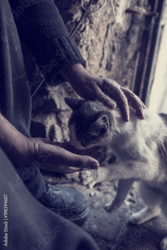 Toned image of a man feeding a cat