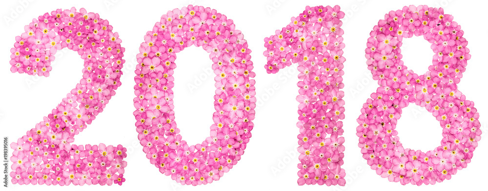Numeral 2018 from pink forget-me-not flowers, isolated on white background Numeral 2018 from pink forget-me-not flowers, isolated on white background
