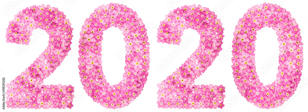 Numeral 2020 from pink forget-me-not flowers, isolated on white background Numeral 2020 from pink forget-me-not flowers, isolated on white background