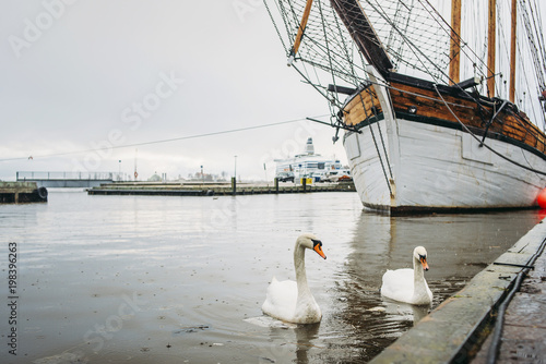two swans in the port near the ship rainy day