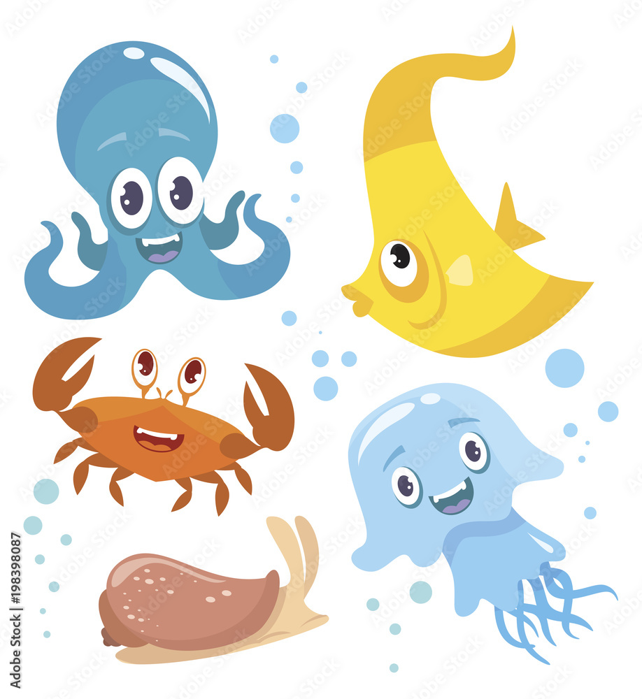 funny ocean  animals