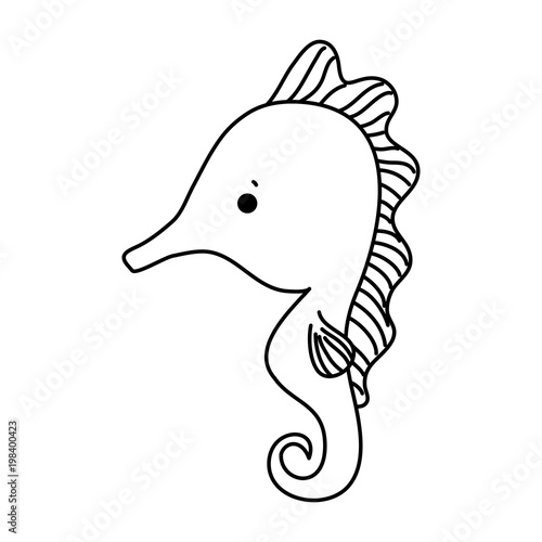 line seahouse ocean animal and tropical creature