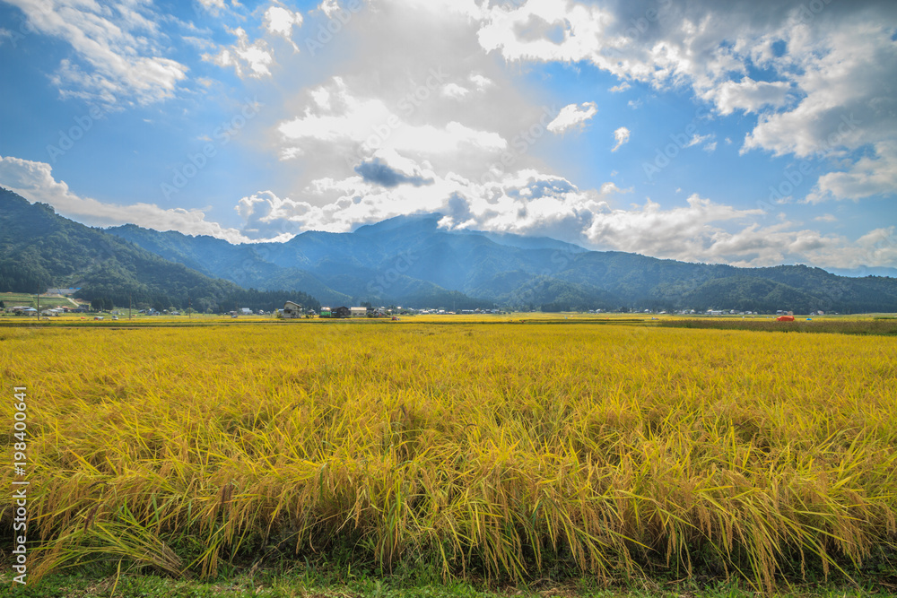 秋の南魚沼の田園の景色