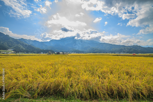 秋の南魚沼の田園の景色